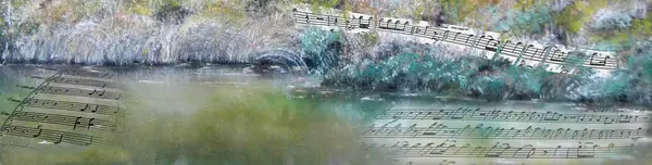 zcxvxcvxc